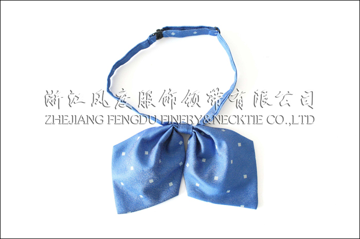 大連交通國(guó)際巴士 滌絲領(lǐng)花